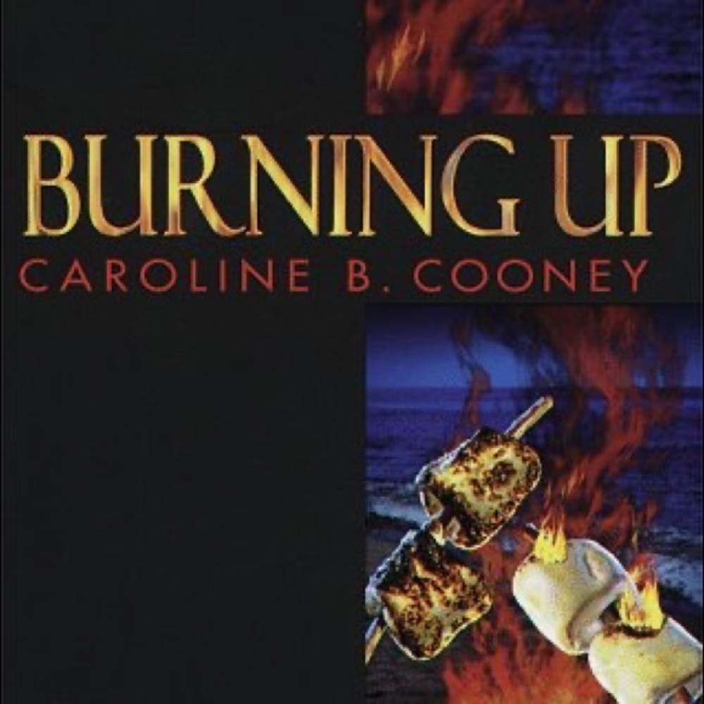 3/$18 Burning Up by Caroline B Cooney